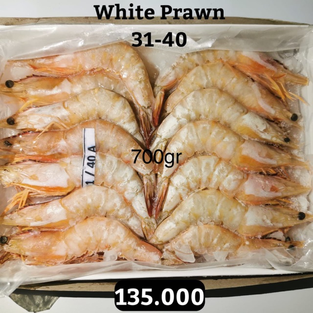 

White Prawn EXPORT QUALITY
