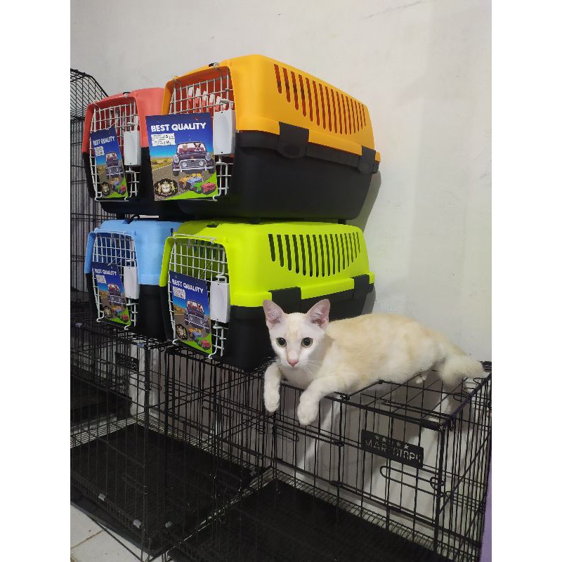 Pet Cargo Petopia Pc - 001 Ukuran S canel box untuk kucing &amp; anjing