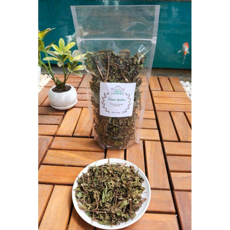 

Daun Luntas / Beluntas Kering Premium ( Organik )- 100 gram