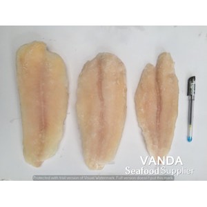 

Ikan Dory Fillet Lokal Grade A