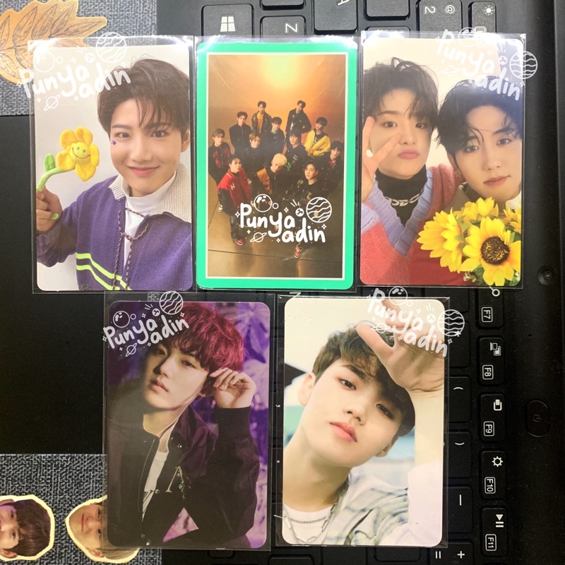 PC JUNKYU SELCA GREEN & DOBBY MIGRAIN