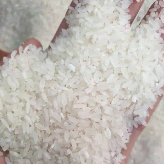 

Terlaris! Beras Pera ir 42 5kg untuk kebuli , nasi goreng , nasi uduk , nasi kuning , nasi padang