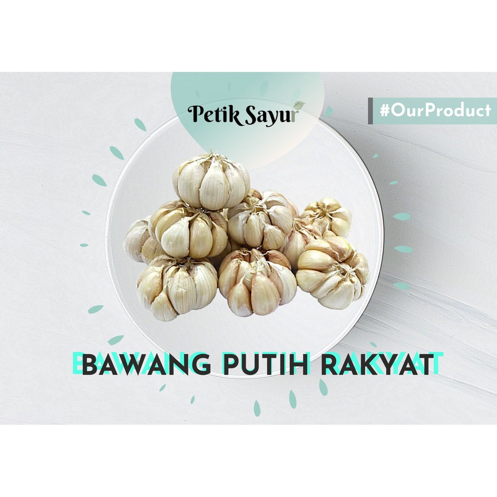 

[TERMURAH!!] Bawang Putih Rakyat 100 g - 250 g
