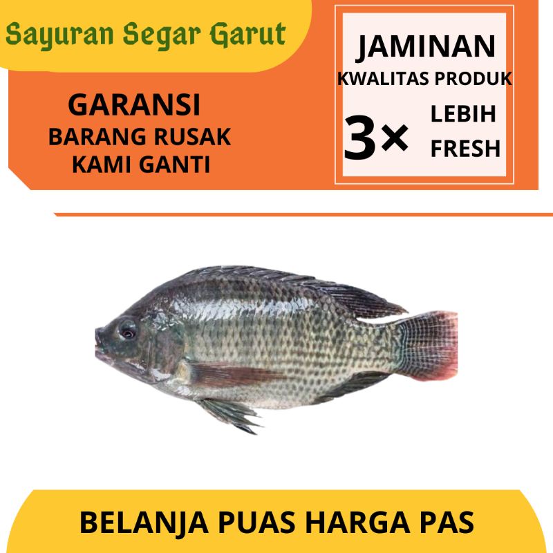 

Ikan Nila Ikan Segar Fresh 500gr By Sayuran Segar Garut
