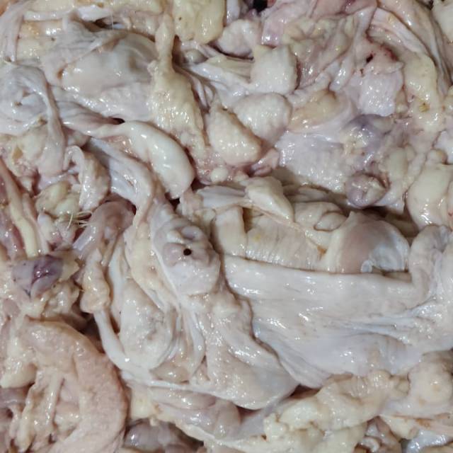 

kulit ayam bloiler fress