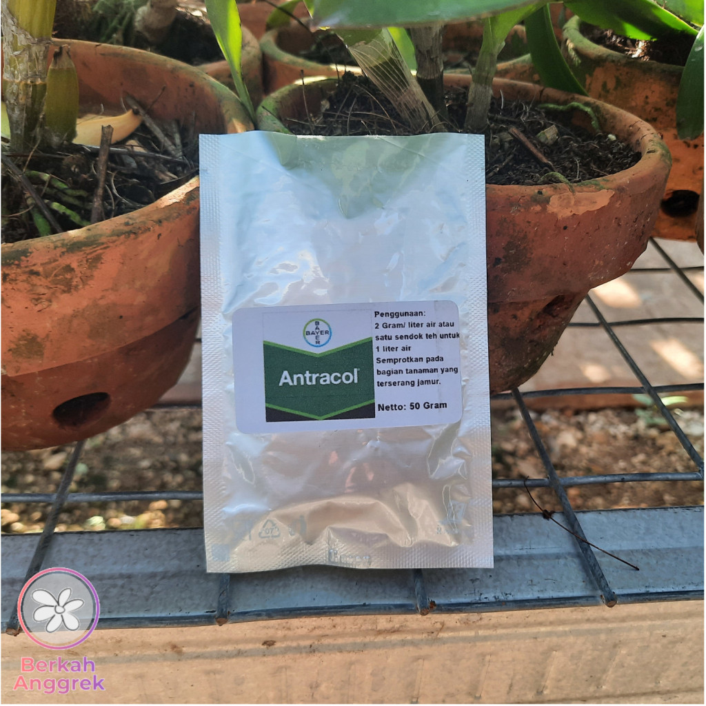 Antracol 50 Gram Fungisida Pencegah Jamur pada Anggrek