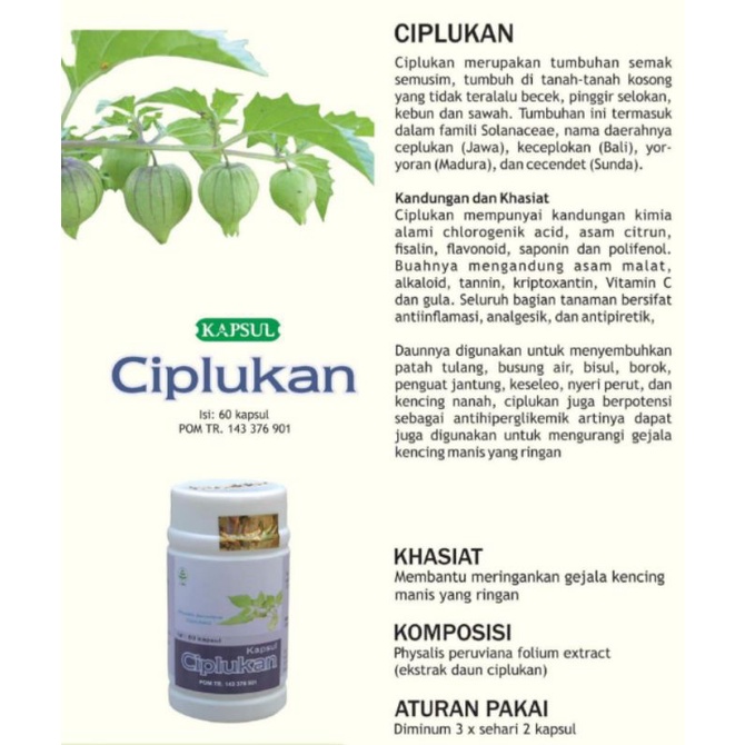 

Tazakka - Kapsul Ciplukan - 60 kapsul