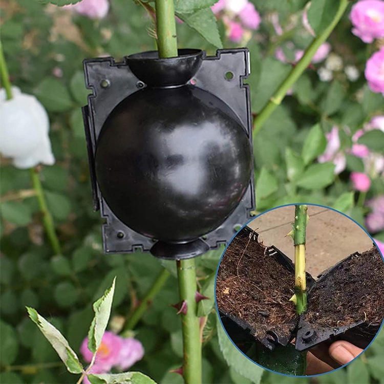 Alat Cangkok Stek Tanaman Model Bola Tekanan Tinggi Untuk Taman Berkebun FEFARM Mulding Cangkok