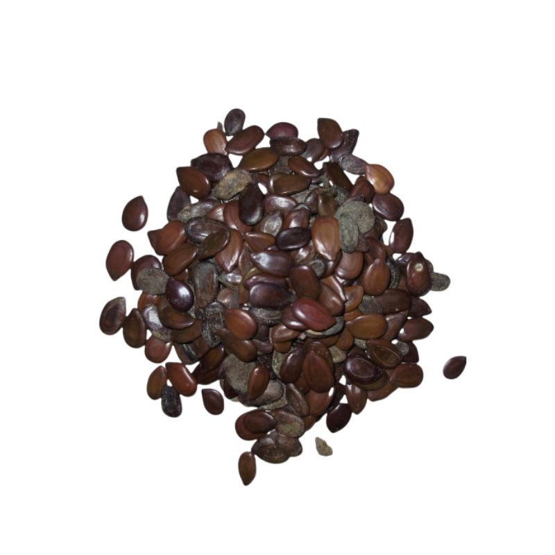 

Biji Lamtoro/Petai China/Petai Selong 1kg