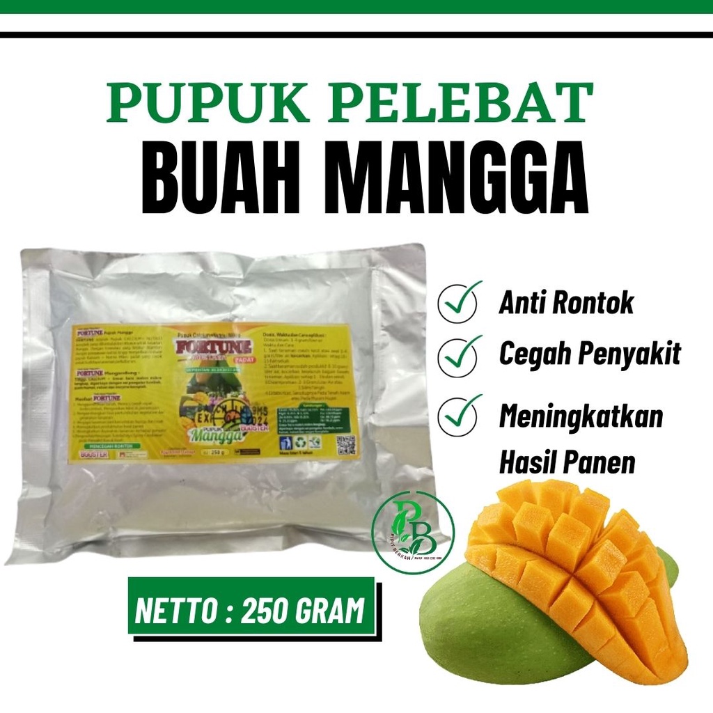 Pupuk Pelebat Buah Mangga, Pupuk Mangga Biar Cepat Berbuah, BOOSTER Mangga ORGANIK