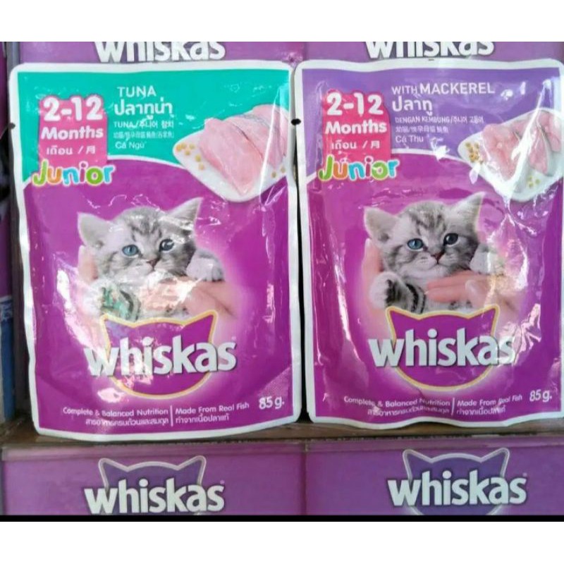 whiskas pouch Junior Tuna &amp; Makarel 85gr 1 dus isi 24 sachet Makanan Kucing Basah