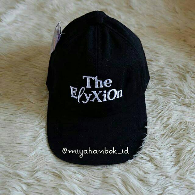 TOPI EXO CONCERT THE ELYXION
