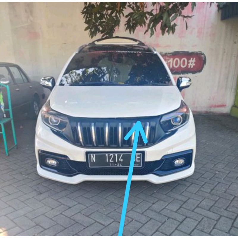 Grill Mobilio Rs lama Apollo 2014 2015 2016
