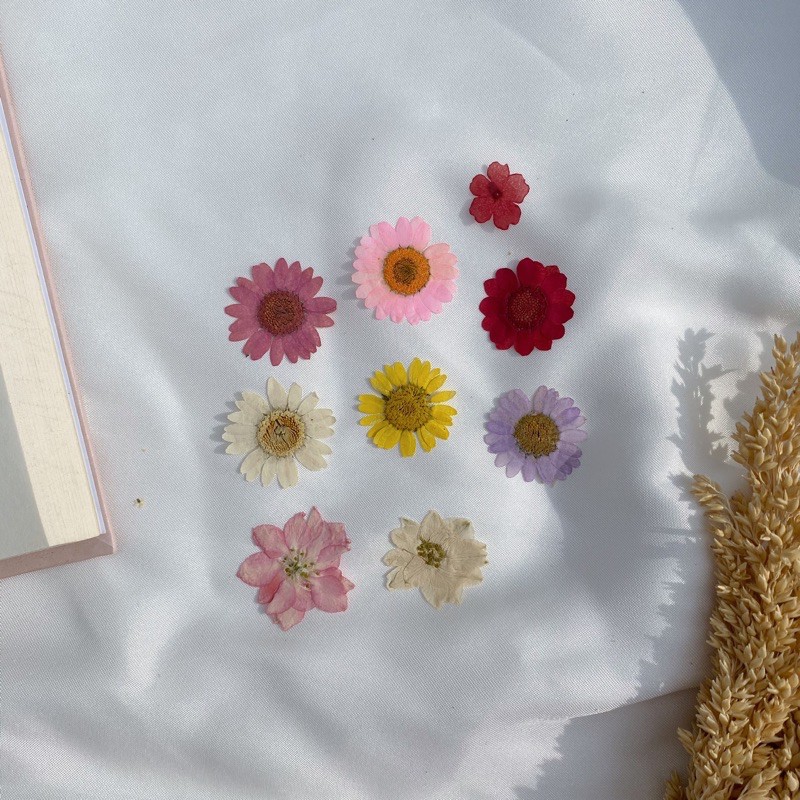 Pressed dried flower bunga kering preserved epoxy resin