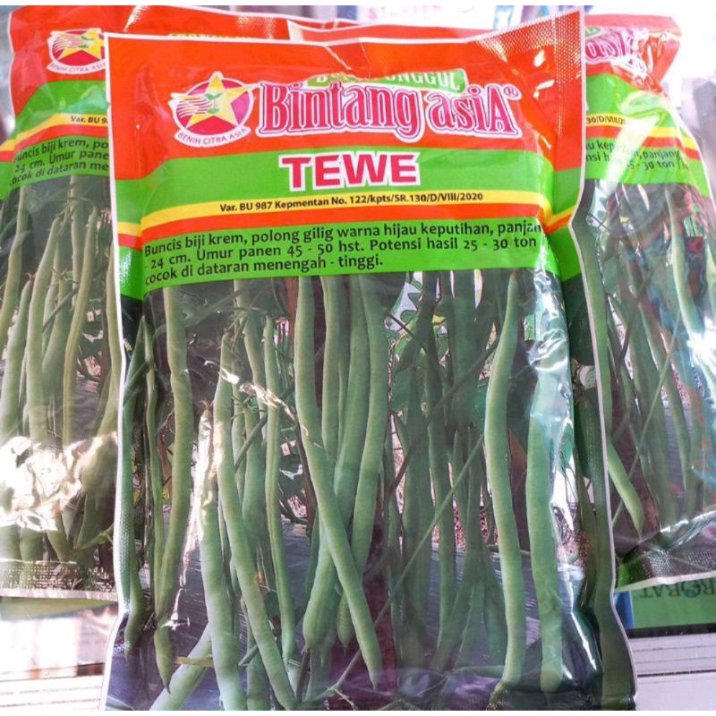 BENIH BUNCIS TEWE 500 GR BINTANG ASIA