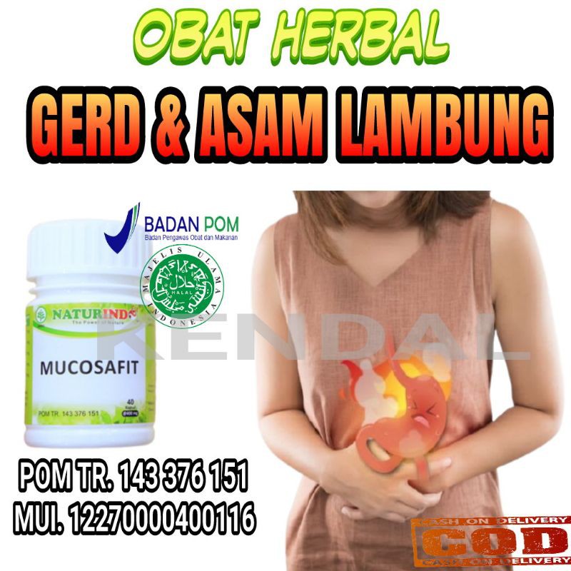 Jual Obat Gerd Dan Asam Lambung Herbal Ampuh Sakit Perut Kembung Begah Nyeri Ulu Hati Mucosafit 1314