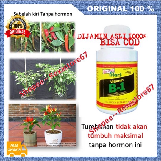 BELI 1 GRATIS 1 Hormonik Grow Plant Pemulihan Pohon Lemah Merangsang Pertumbuhan Akar ASLI