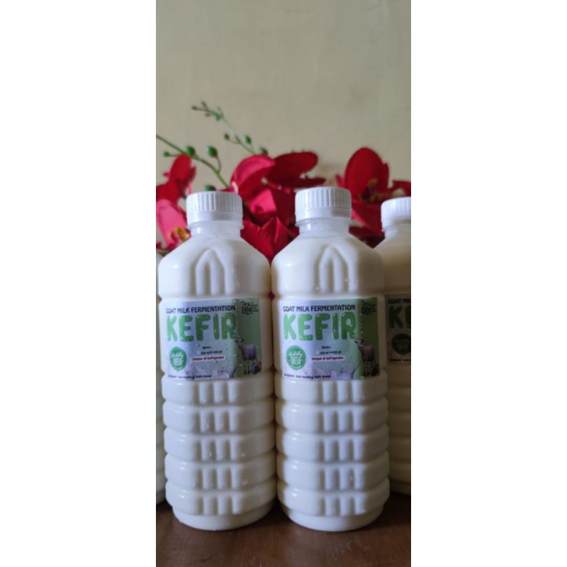 

Susu kefir kemasan 500ml