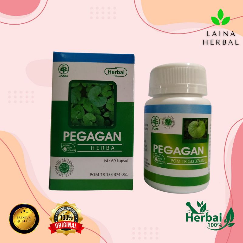 kapsul pegagan kapsul pegagan ekstrak kapsul pegagan herbamedika kapsul pegagan hpai