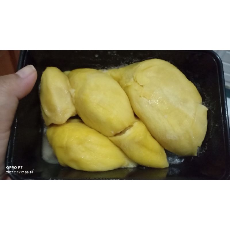 

Durian Montong