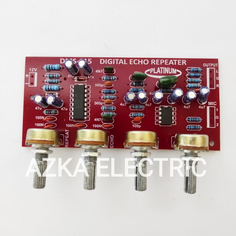 Kit Digital Echo Repeater Plus 2 Mic DMS 615