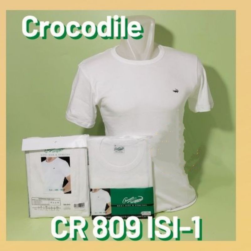 Oblong Crocodile
