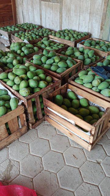 Decor Art Hiasan Dekorasi Dinding Kamar Rumah Bunga Pot Kaktus Cantik Wall Decor - Ct 2