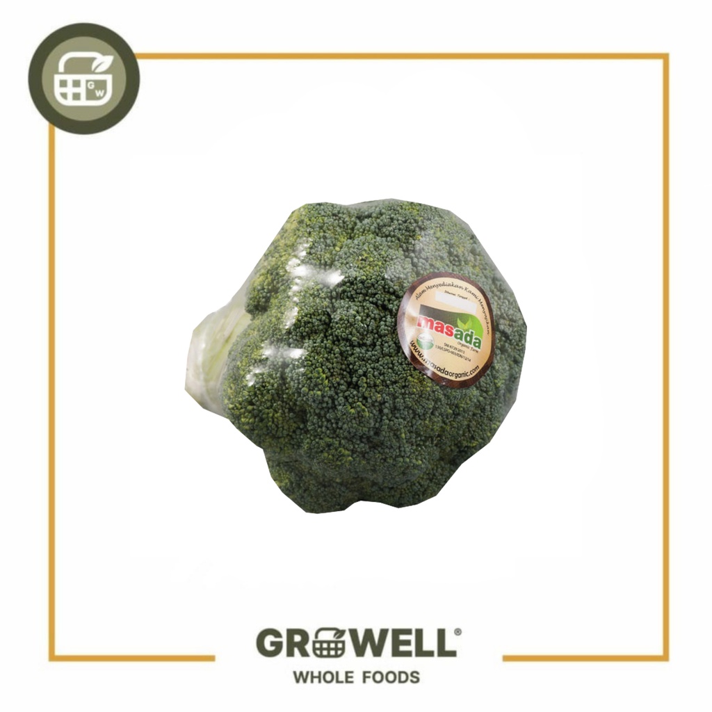 

MASADA BROKOLI ORGANIC