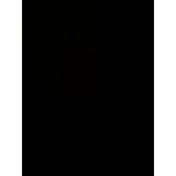 Sandy Bralette Square Tanktop Bra Tali Tipis Spaghetti Tank Top Kotak-Green crop