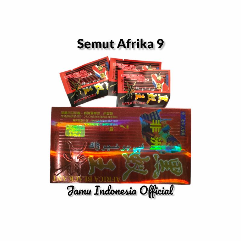 [Shopee] Afrika Blackant [Semut Hitam]