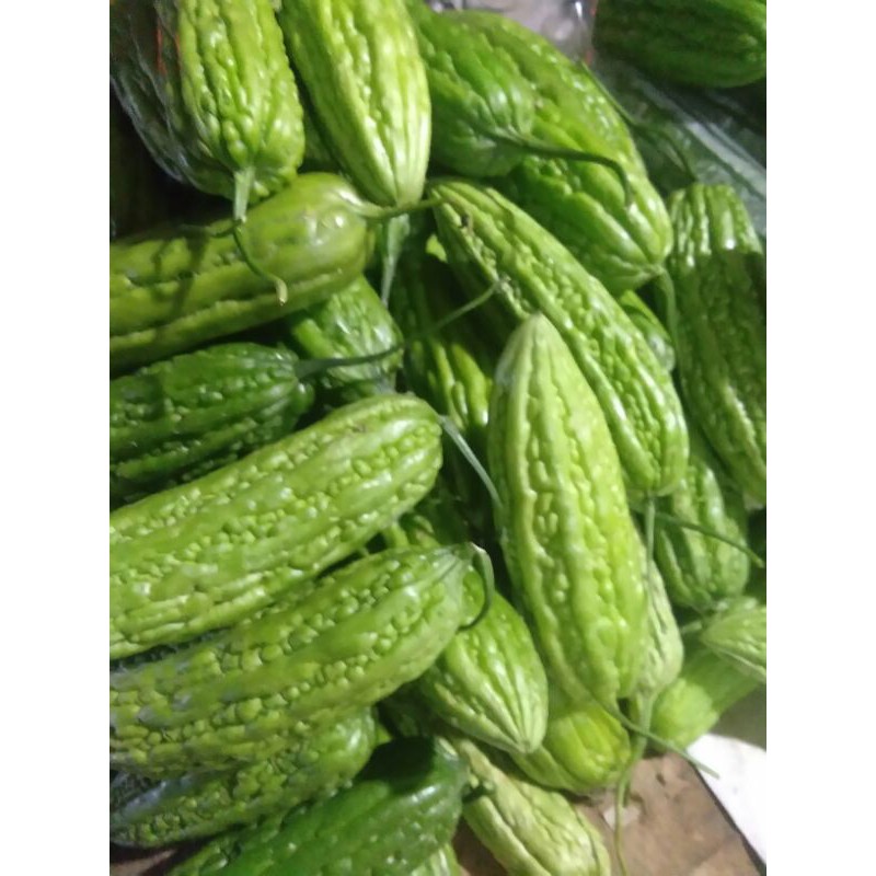 

pare segar 500gr