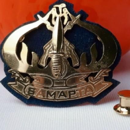 pin samapta imigrasi