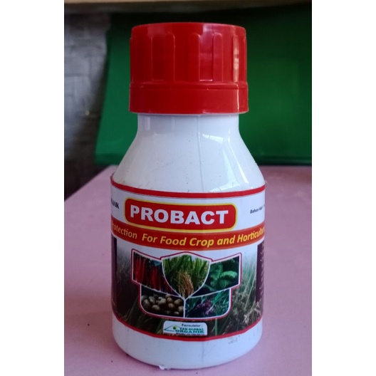 Fungisida & Bakterisida Organik