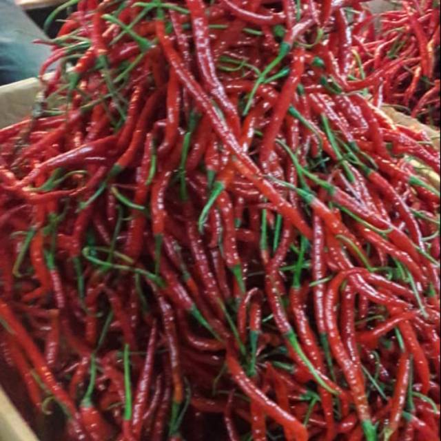 

Cabe merah keriting 1kg