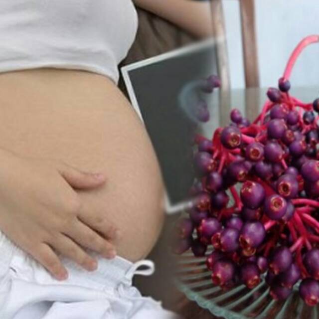 

Buah parijoto