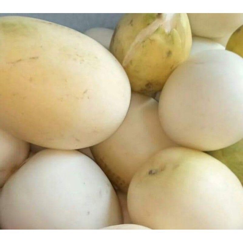 Buah Timun Suri/ Timun Mas / Malewa Segar Pasar Online Makassar