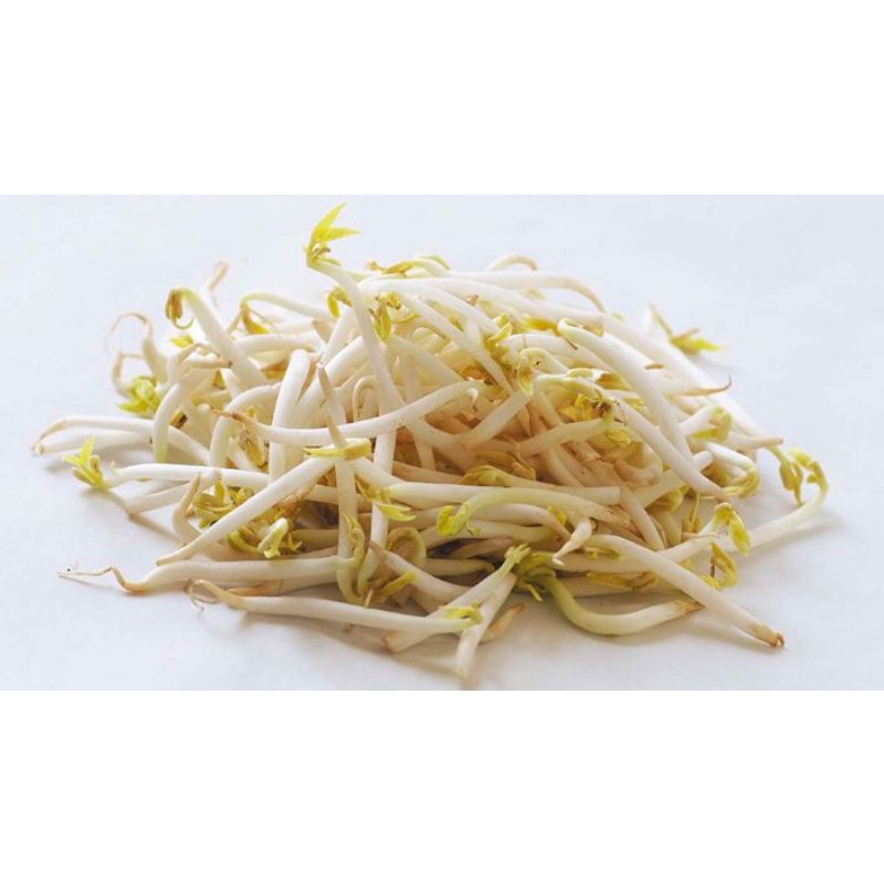 

tauge 500gram
