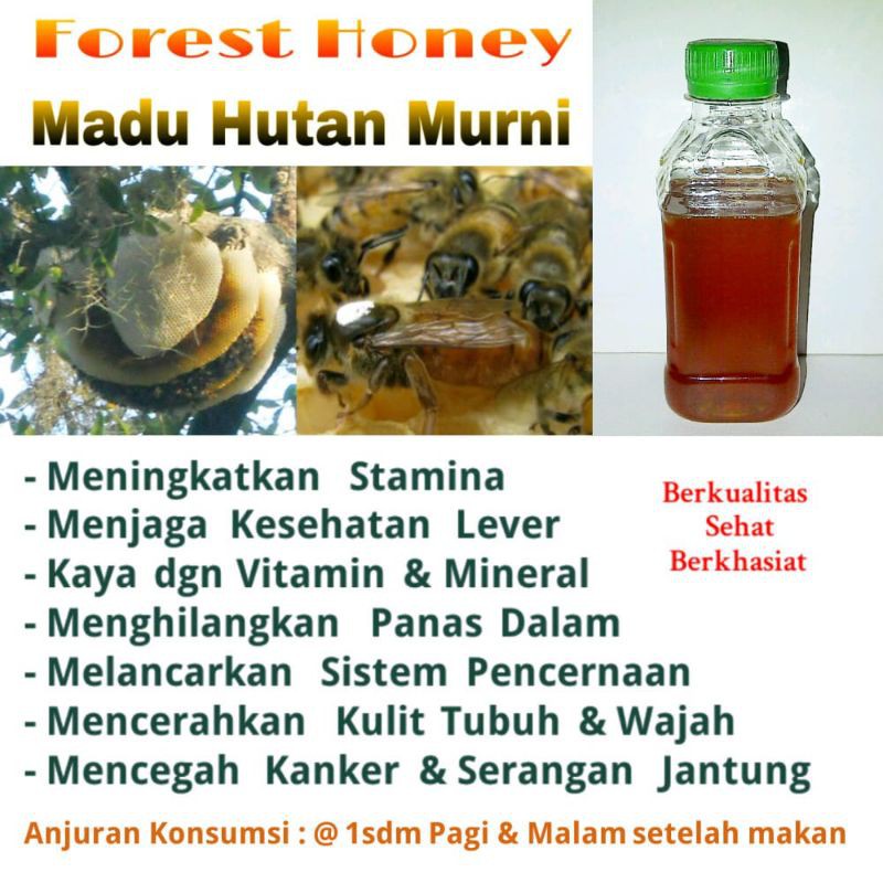 

Madu Hutan murni 500 gram