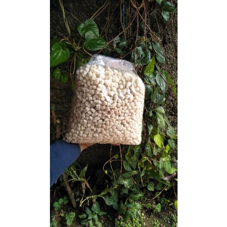 

TIKTAK CIKUR 1KG