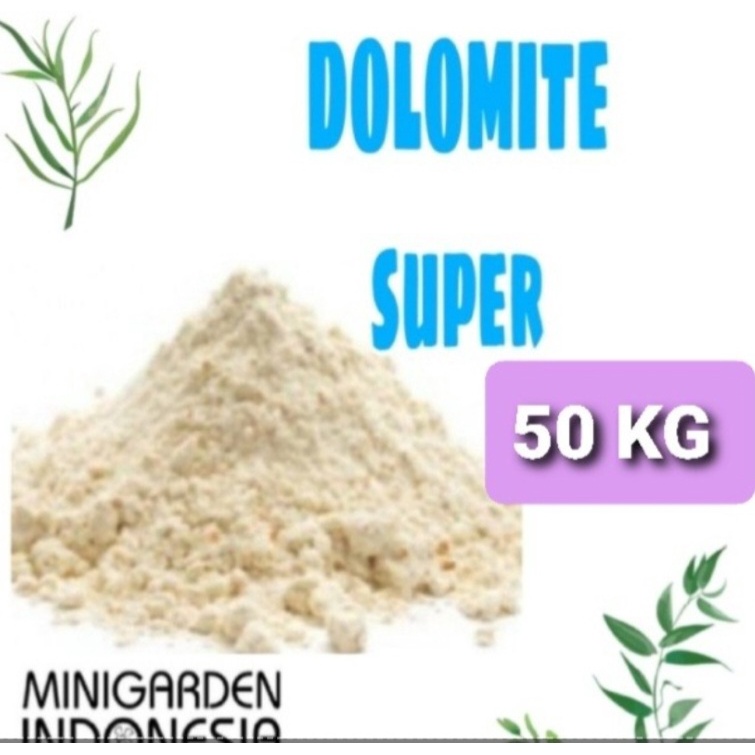 DOLOMIT ZAK 50 KG KHUSUS GOJEK GRAB kapur pertanian dolomite super