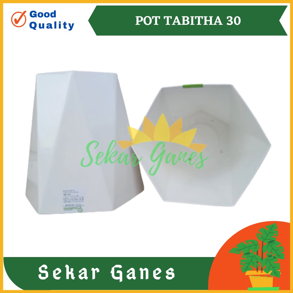 Sekarganes Pot Tabitha Diamond 30 Putih Pot Bunga Tanaman Tinggi Pot Diamond Tabitha Putih Pink 20 25 30 35 Grosir - Bukan Pot Tabitha Prisma 20 30