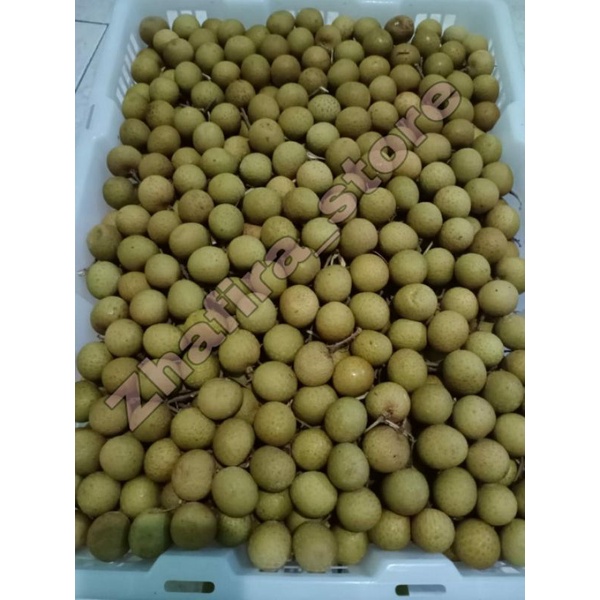 

Ready Buah Kelengkeng Import Fresh 500gr & 1KG