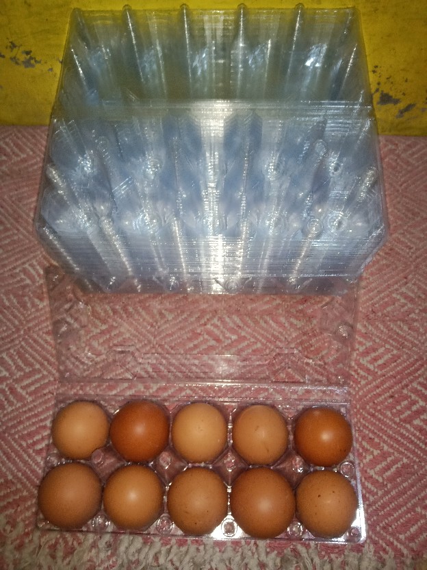 Tray Telur - Egg Tray - Mika Telur Isi 10 Butir