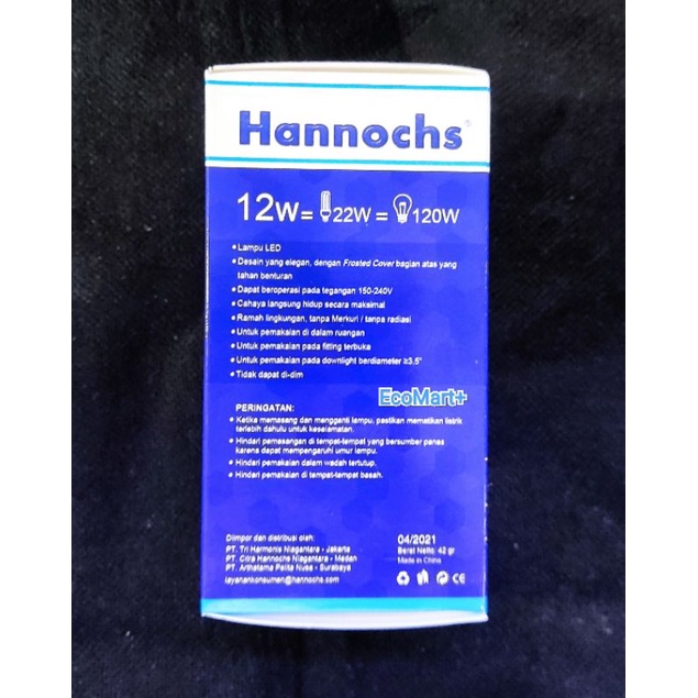 Lampu Led Hannochs Vario 12w