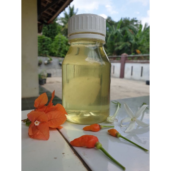 

Minyak Kelapa 250 ml