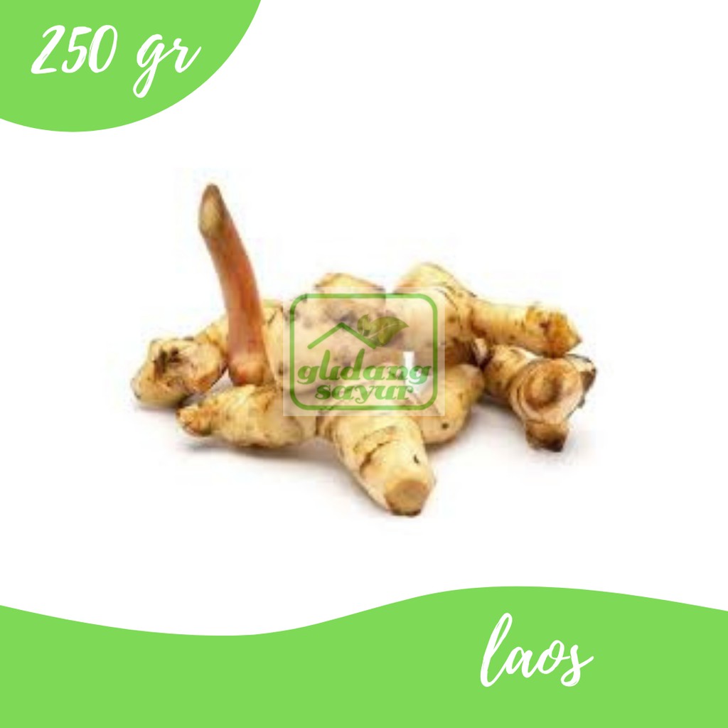 

Laos 250g Gudang Sayur Purwokerto