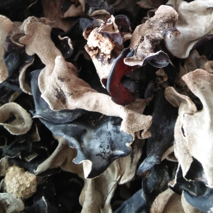 

Jamur Kuping Kering Kemasan Ekonomis