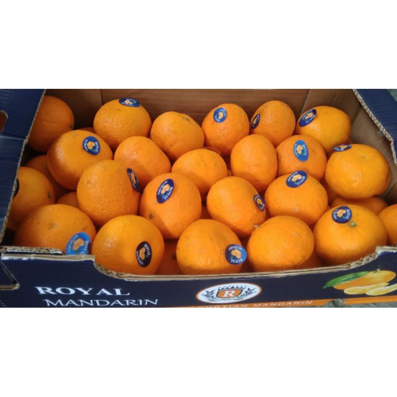 

Buah Jeruk Mandarin Import Fresh 1 Kg