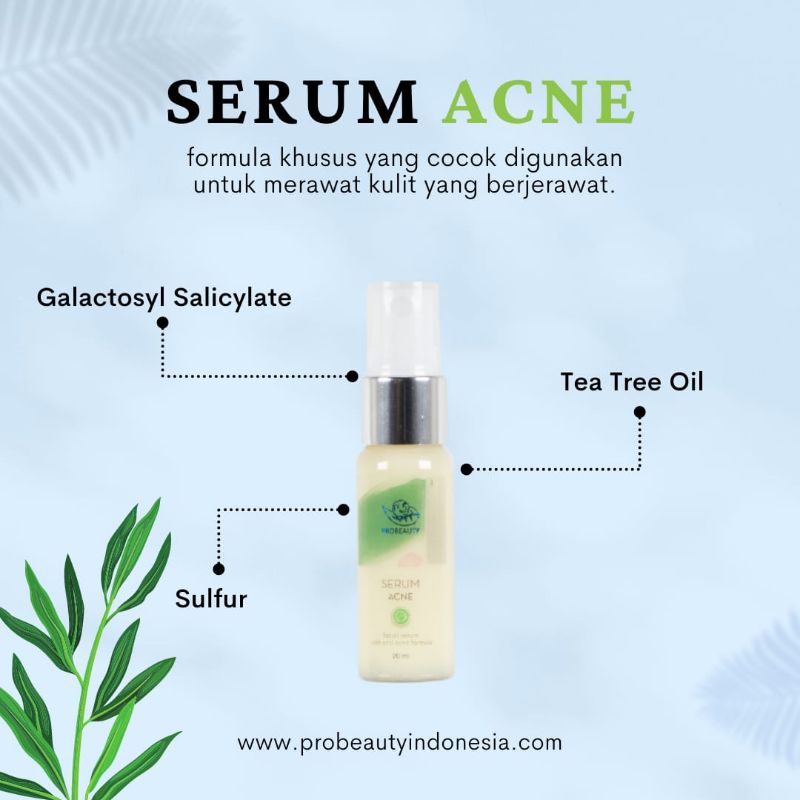 PROBEAUTY SERUM ACNE PLUS
