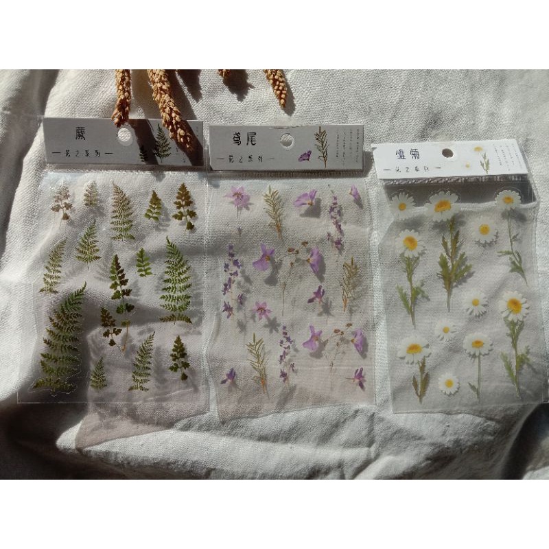 

Sticker vintage transparant plant